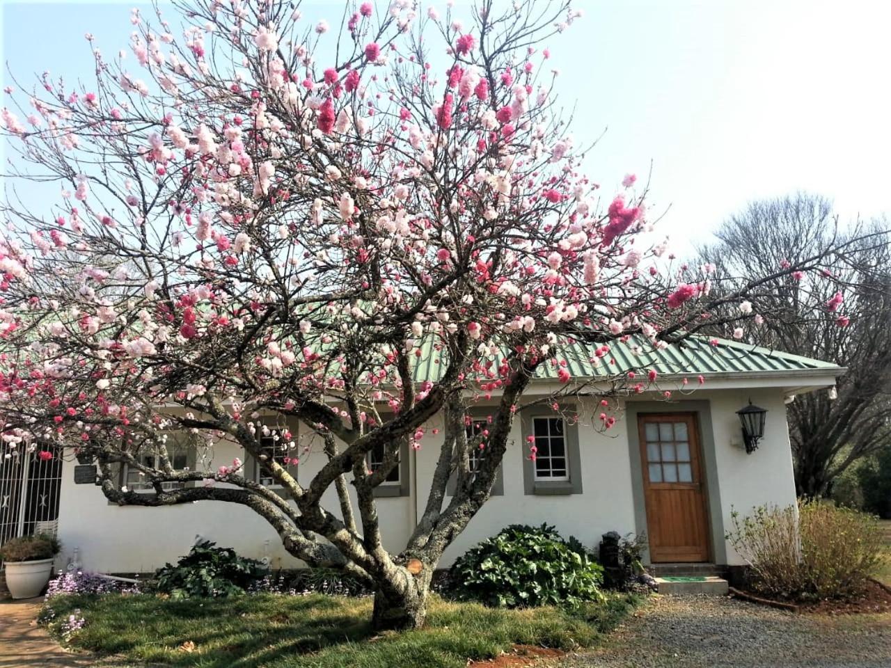 Sani Window B&B And Self Catering Underberg Exterior photo